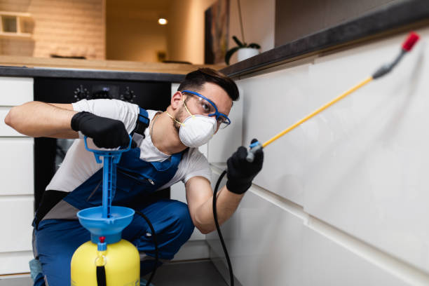  Innsbrook, VA Pest Control Pros