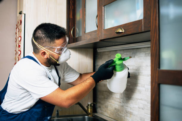 Insect Control in Innsbrook, VA