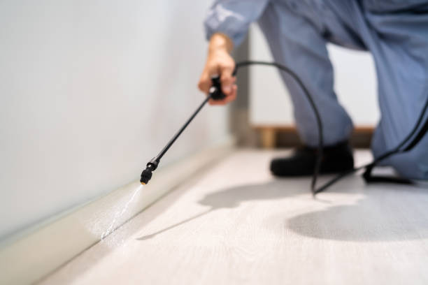 Flea Control Services in Innsbrook, VA