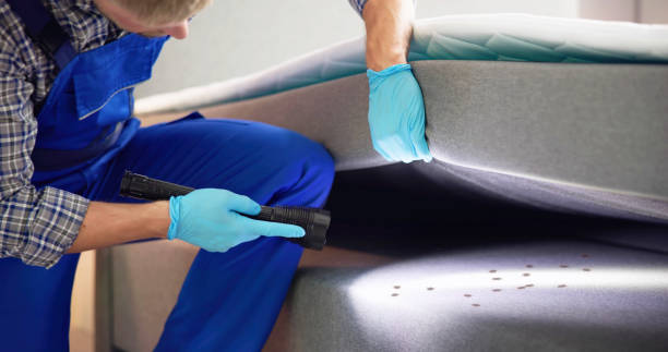 Best Best Pest Control Companies  in Innsbrook, VA