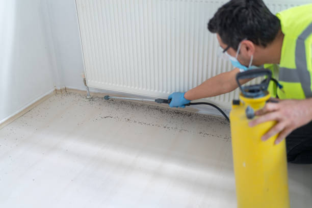 Best Flea Control Services  in Innsbrook, VA