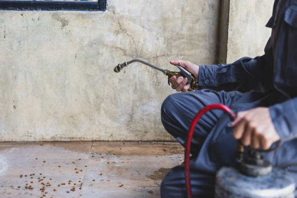 Best Pest Prevention Services  in Innsbrook, VA